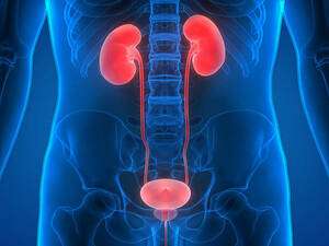Urology KNOW MORE